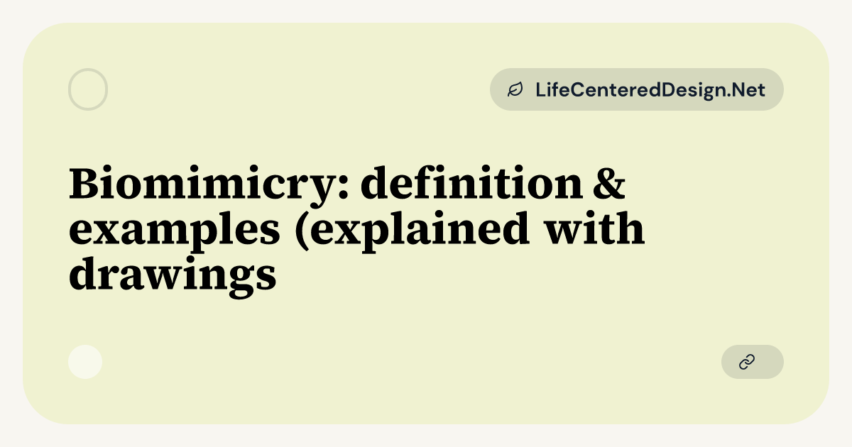 Biomimecry Examples Biomimicry: definition & examples (explained with drawings ...